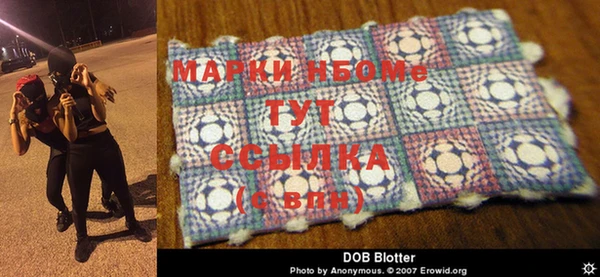 марки lsd Бородино