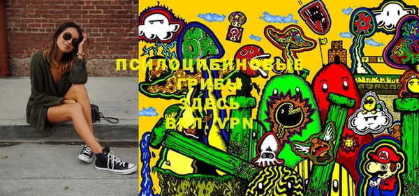 крисы Бронницы