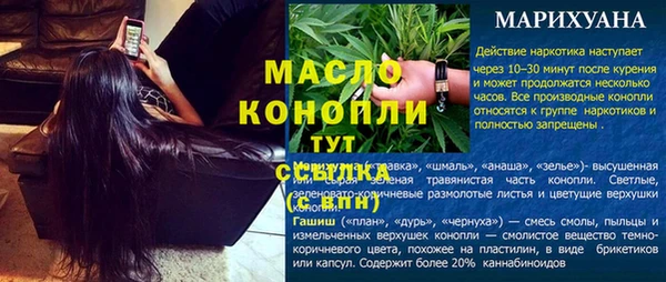 крисы Бронницы