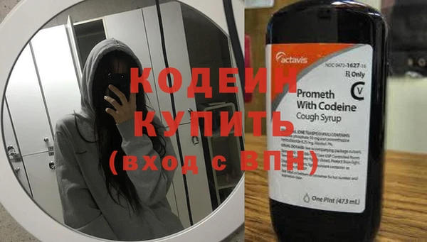 крисы Бронницы