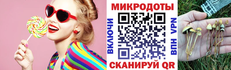 где купить наркоту  Кедровый  Псилоцибиновые грибы Magic Shrooms 